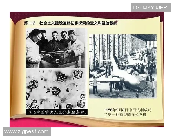 拉波尔特的崛起与挑战：探索其在现代社会中的影响与意义