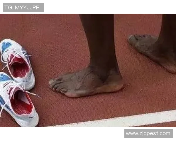 骨头与科米尔的对决谁能称霸赛场的巅峰之战