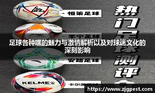 足球各种嘿的魅力与激情解析以及对球迷文化的深刻影响